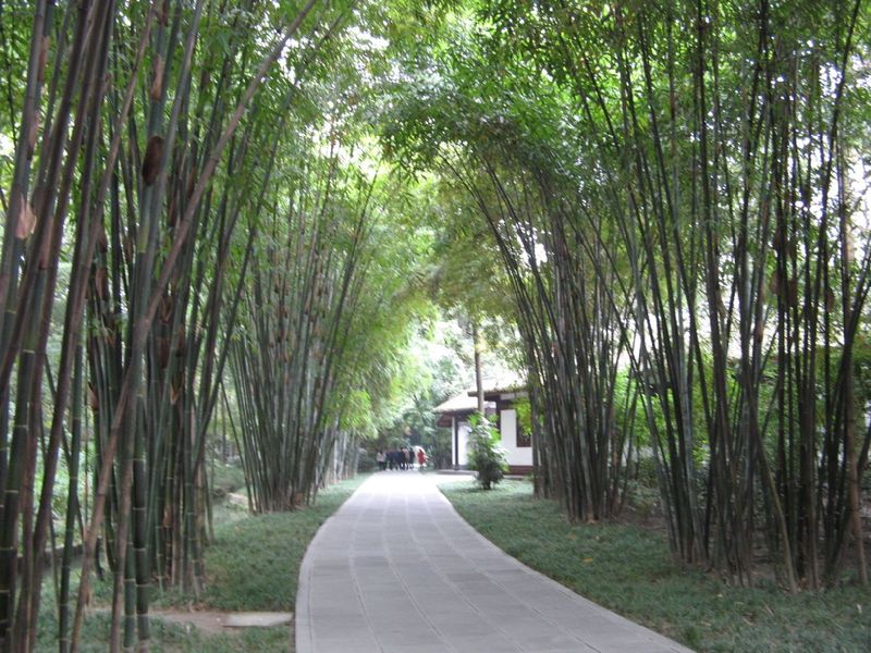 Thatched Cottage of Du Fu